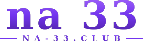 na 33 logo